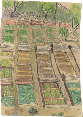 Дорфман Елизавета Григорьевна. Огород